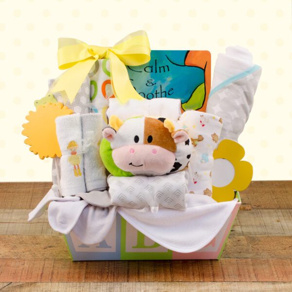 New Baby Love: Baby Gift Basket