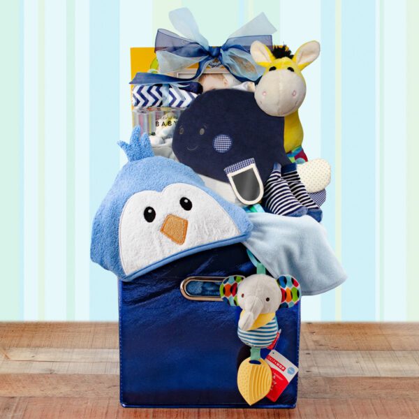 Precious Baby: Baby Boy Gift Basket