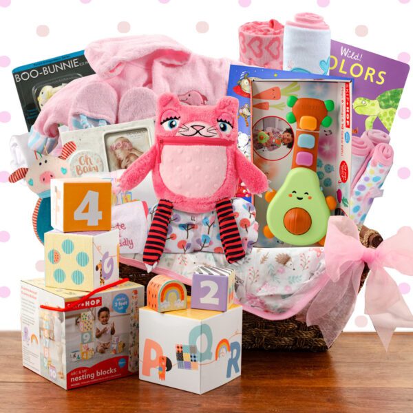 Grand Welcome: Baby Girl Gift Basket