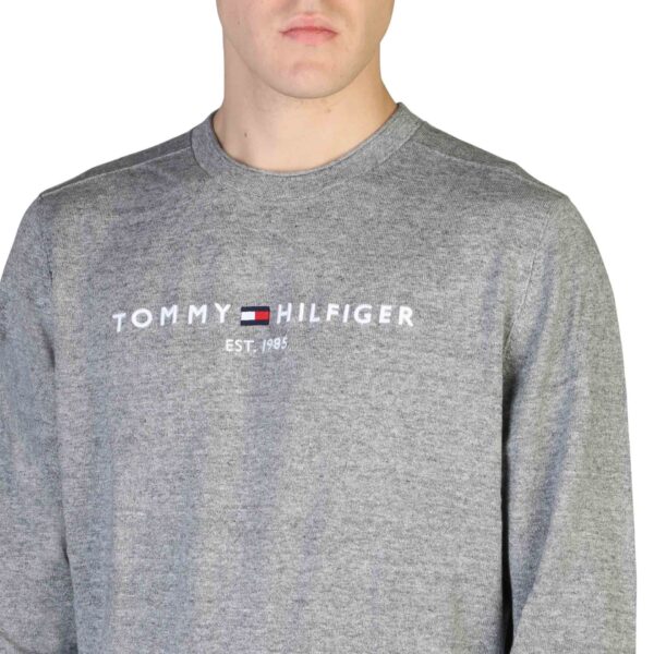 Tommy Hilfiger MW0MW27765_ZN2 - Image 3